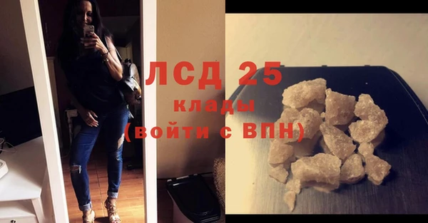 гидра Майский
