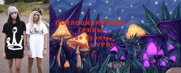 гидра Майский