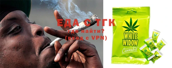 гидра Майский